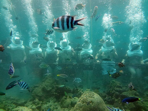 Cham Island to launch sea walking tour