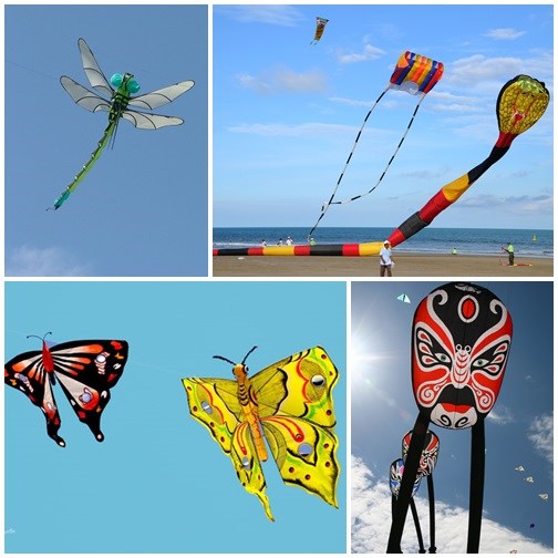 Kites in different shapes and colours are brought to the festival (Photo: ecopark.com)