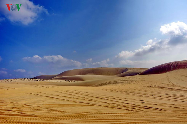 Lotus lake is surrounded by white sand dunes, very beautiful, wild and pristine.