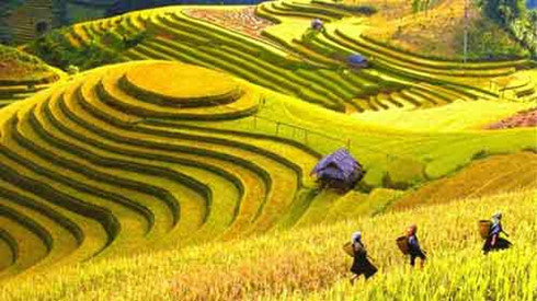 The Sapa summer festival took place in Sa Pa, northern Lao Cai province on May 7 as part of the four seasons’ festivals in the resort town to promote the distinctive beauty of local people and landscapes.