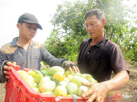 "Cha" của trăm con