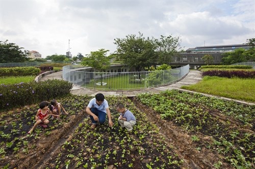 The green roof serves as an additional playground and also as a vegetable garden for the kids to learn how to grow food. (Photo: courtesy of Vo Trong Nghia Company)