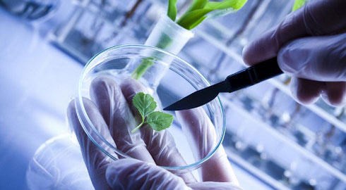 PM gives nod to hi-tech biotechnology park in Dong Nai