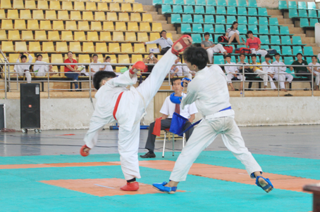 Biên Hòa dẫn đầu Giải trẻ và vô địch karatedo tỉnh