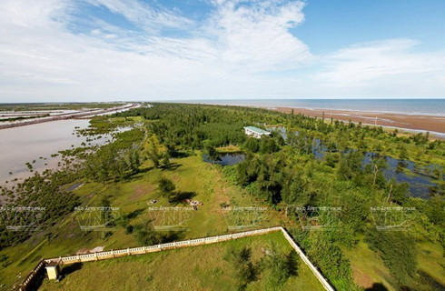 Con Vanh ecological tourism site attractive to visitors