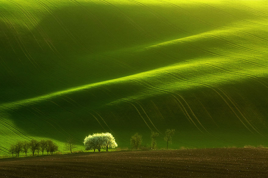 Moravian fields in Czech Republic