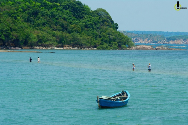 Take a walk on the wild side across island causeway