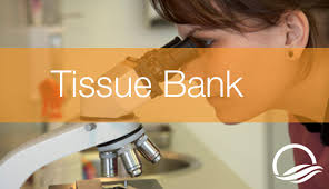 New decree on conditions to establish tissue bank