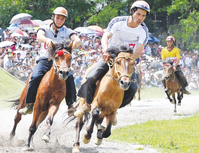 Vietnam fine-tunes rules on horse racing, int'l football betting