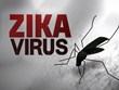 Vietnam seeks early detection of Zika infections