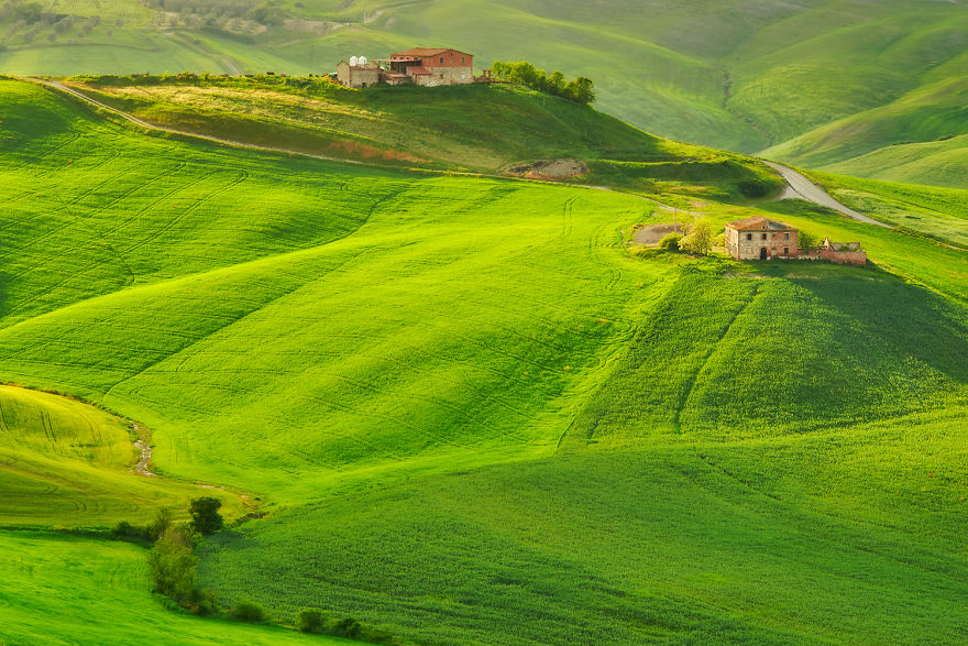 Beautiful Spring