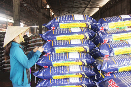 Sản xuất phân bón tại Công ty TNHH một thành viên An Điền (huyện Vĩnh Cửu).