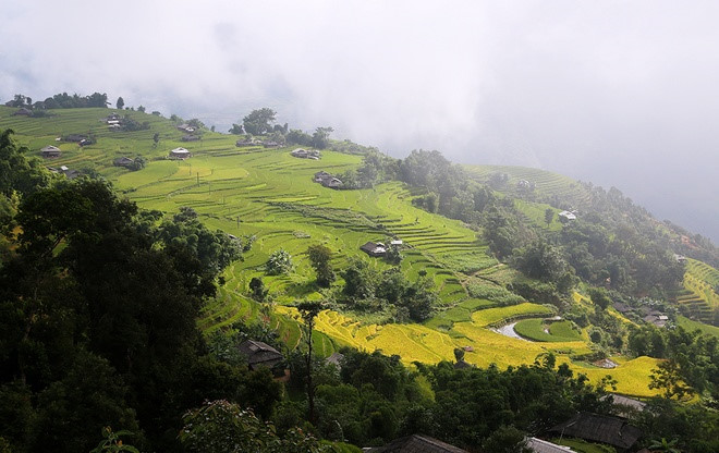 From afar, whole fields look like giant staircases leading up to the vast sky with the green of young rice or the golden of the ripe rice.