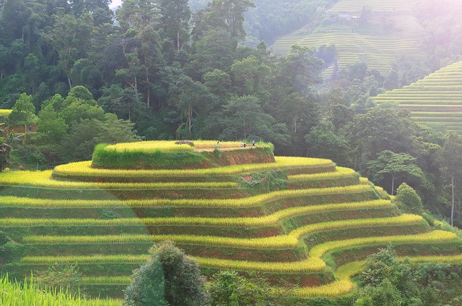 Lyrical rice terraced landscapes of Hoang Su Phi