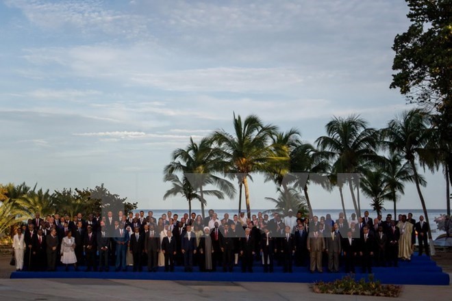 NAM members' representatives