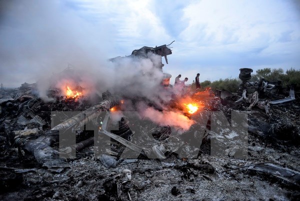 Hiện trường vụ rơi máy bay MH17 ở gần Donetsk, Ukraine. (Nguồn: EPA/TTXVN)