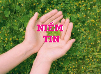 Niềm tin
