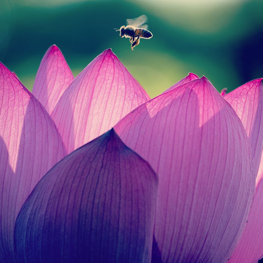 Beautiful nature