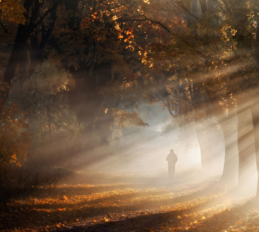 Heart Of Autumn