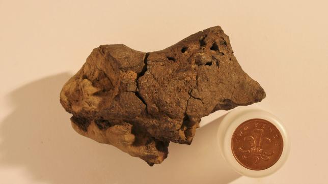 A handout photograph shows what scientists have identified as the first known example of fossilised brain tissue from a dinosaur, and say it resembles the brains of modern-day crocodiles and birds, released in London, Britain October 27, 2016.