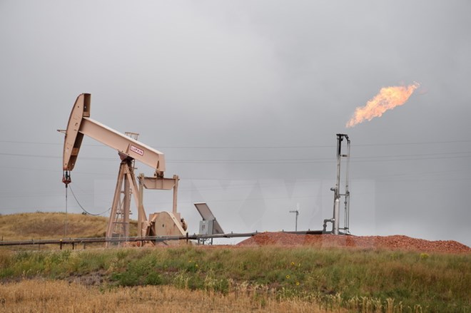 OPEC "tiến thoái lưỡng nan" sau chiến thắng của ông Donald Trump