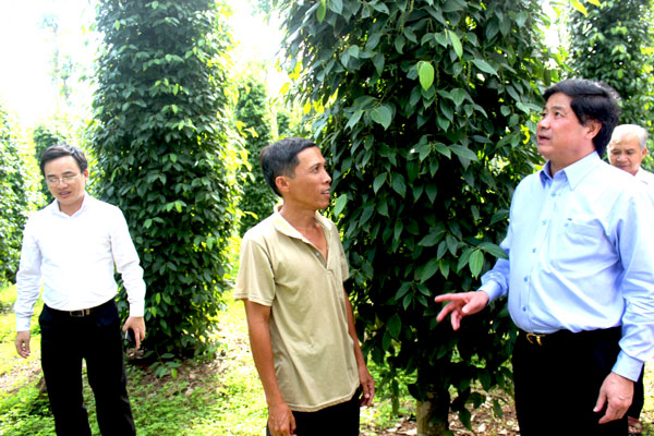 Dong Nai building effective agricultural production models