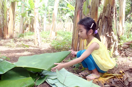 Đoàn Nguyệt Ánh (lớp 3A Trường tiểu học Hưng Lộc, huyện Thống Nhất) đang xếp lá chuối phụ bà nội chuẩn bị đem ra chợ bán. Ảnh: N.Tuyết