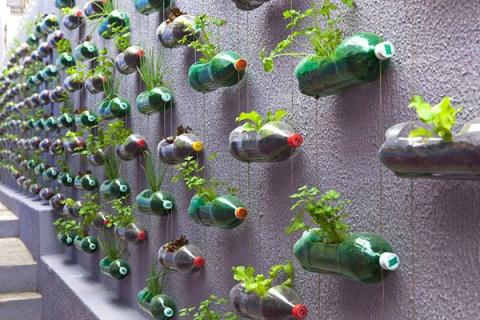 Scientists warn of dangers in using old plastic bottles with EDC