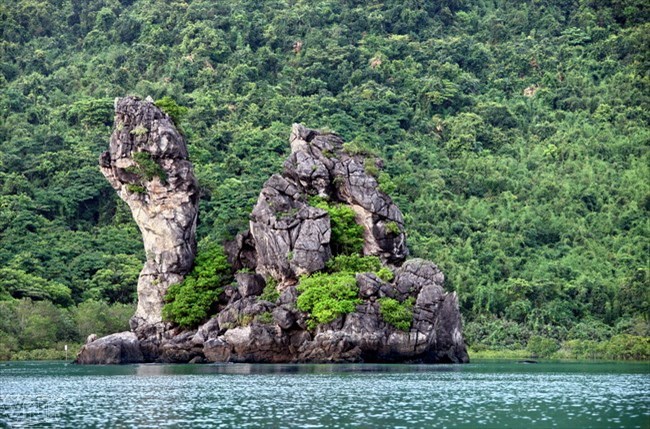 A corner of Bai Tu Long National Park (Source: VNA)