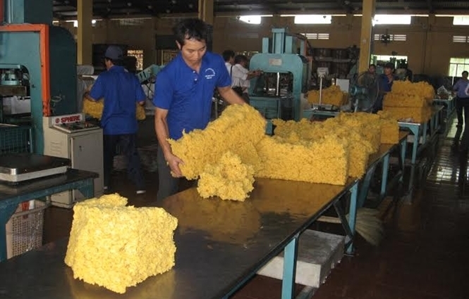 Giá cao su tăng mạnh trở lại