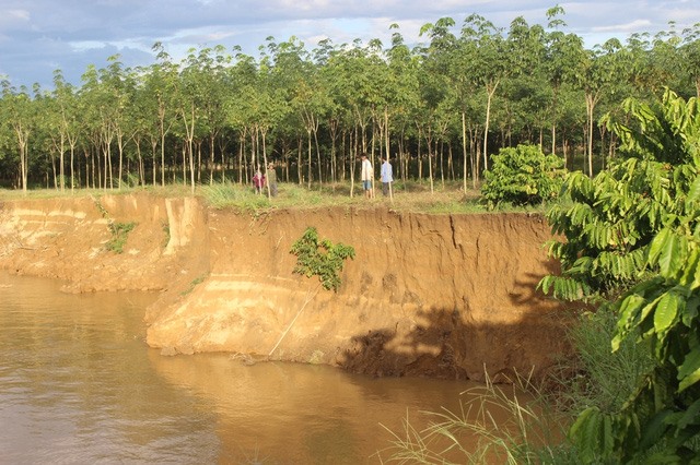 Rampant dredging threatens Đồng Nai River