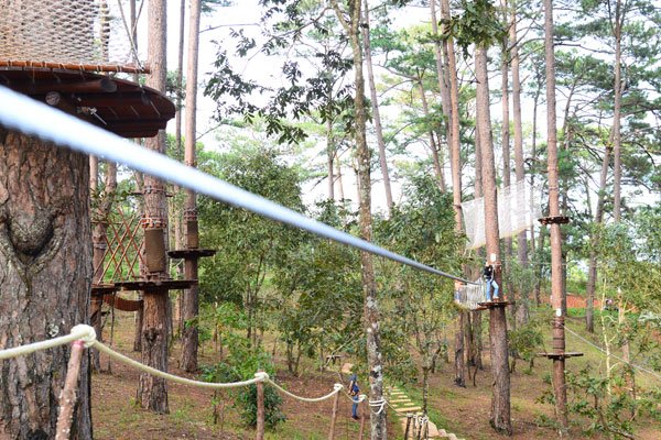 Tourists can experience the High Rope Course at Datanta tourist site in the Central Highlands city of Dalat