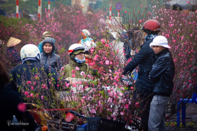 Hanoi's flower market among best places for lunar New Year: CNN