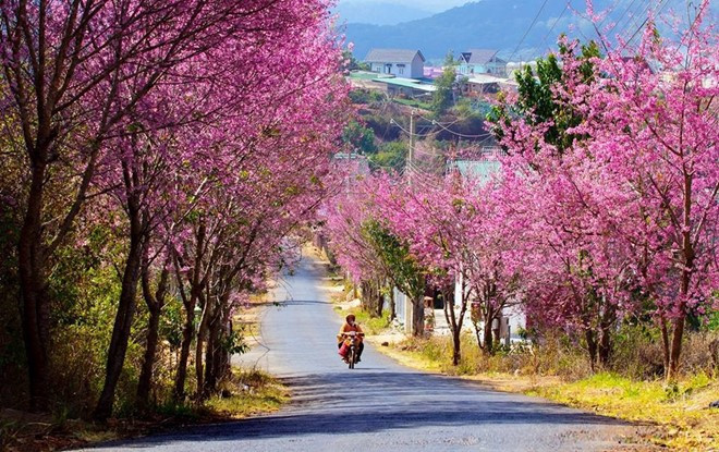 Five major Tet tourist destinations in Vietnam