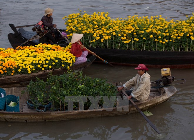 Cai Rang Floating – A must-see place in Mekong Delta