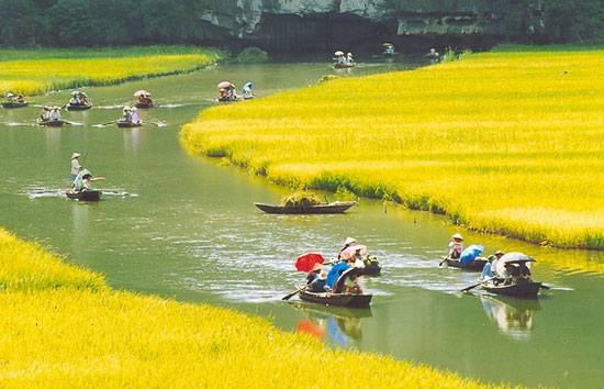 Vietnam among top 10 budget honeymoons: Lonely Planet