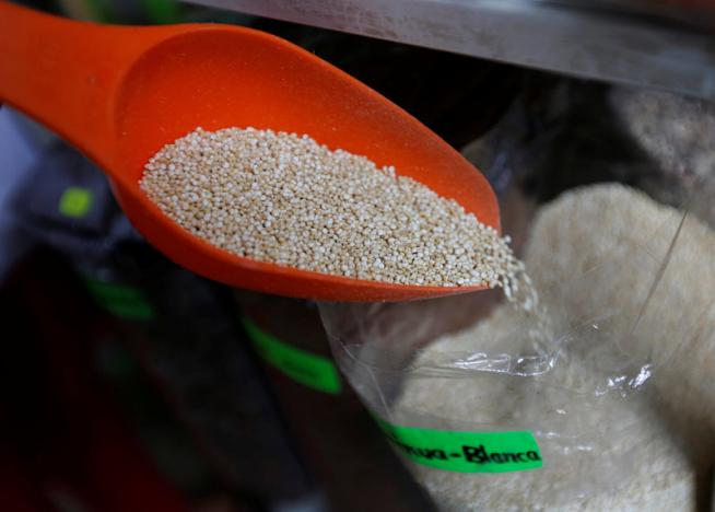 Genetic study may make ancient Incas quinoa a grain of the future