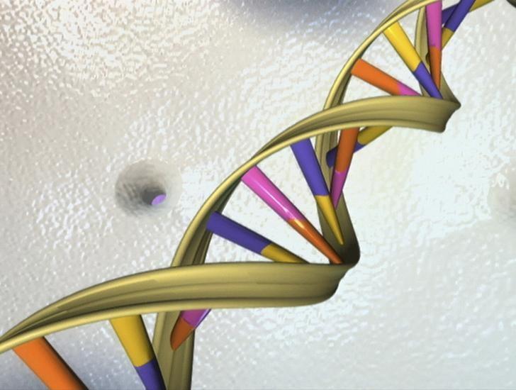 U.S. experts soften on DNA editing of human eggs, sperm, embryos