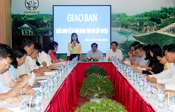 Bà Nguyễn Thị Thu Hiền, Trưởng Ban Văn hóa – xã hội HĐND tỉnh chủ trì hội nghị giao ban.