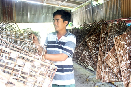 Ông Vũ Duy Thanh sử dụng né gỗ thay né tre để nuôi tằm, tạo kén đạt năng suất, chất lượng cao hơn.