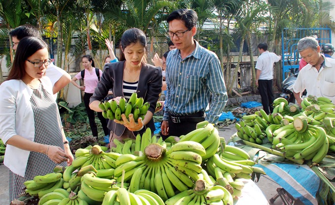 Customers in HCM City buy bananas in front of HCM City University of Food Industry last month. Students at the university want to help banana growers in southern Đồng Nai Province. — VNA/VNS Photo Mạnh Linh  Read more at http://vietnamnews.vn/society/372204/price-fluctuations-trouble-for-farmers-in-dong-nai.html#RYtrAPCx0ALLEzwm.99