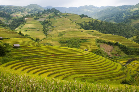 Yen Bai, an alluring destination in the northwest