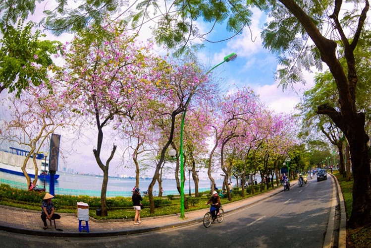 Eight places to date on Int'l Women Day in Hanoi