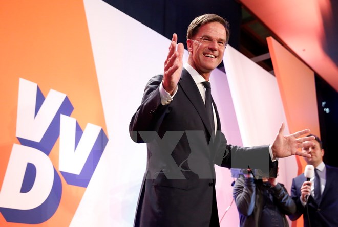 Bầu cử Quốc hội Hà Lan: Thủ tướng Mark Rutte giành chiến thắng