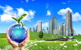 Environmental protection projects provided with capital assistance