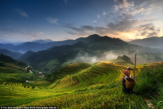 Tran Minh Dung wins the third prize in the National Awards category. Pictured is the woman tilling the fields in early morning.