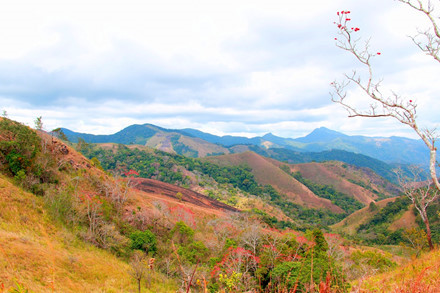 The route stretches some 55 kilometres from Ta Nang commune, which is around 60 kilometres south of Da Lat, and ends in Phan Dung commune in Binh Thuan province.