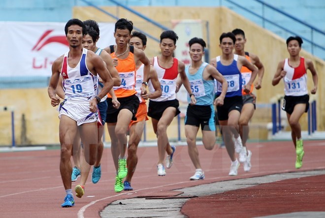 Vietnam aims for at least 49 golds at SEA Games 29