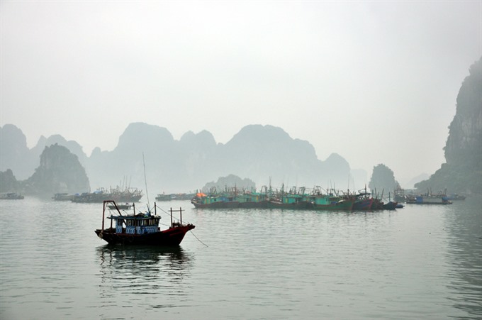 Decree sets higher fines for aquatic products violations