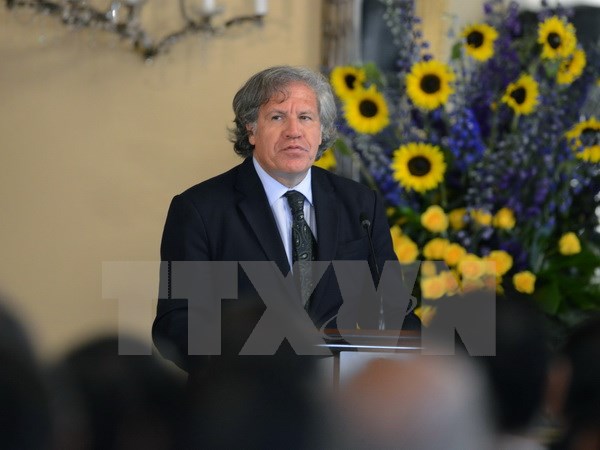 Tổng thư ký OAS Luis Almagro. (Ảnh: AFP/TTXVN)
